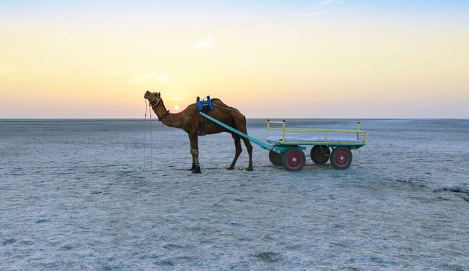 kachh - The Rann of kachh.